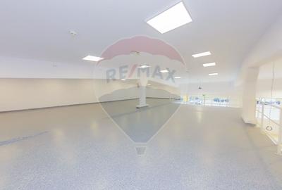 LUX! De inchiriat SPATIU COMERCIAL cu birouri, magazie si acces TIR - 13