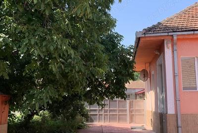 Casă cu 2 camere în Cricău - 4