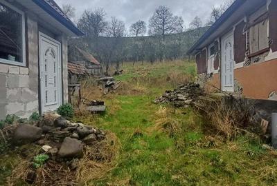 20 de arii si 2 case in Fi?cau - 8