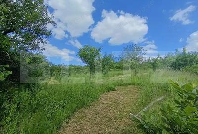 Casă cu 4 camere cu Teren 20 Mp în Central - 18