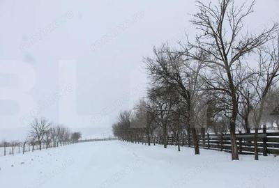 Casă cu 3 camere cu Teren 2880 Mp în Boroșneu Mare - 1