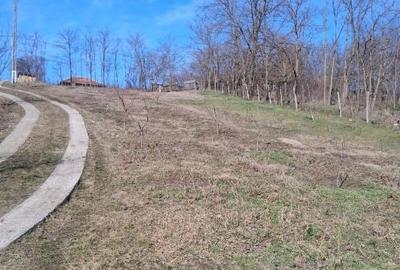 Teren Construcții intravilan de 1500 mp, în Muntenii de Jos - 2