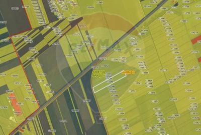 Teren de 23000 mp, în Hărman - 1