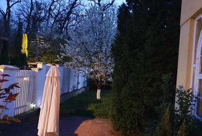 Vila exclusivista, padurea Dumbrava - 11