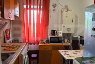 Apartament 2 camere decomandat in zona linistita - 10
