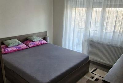 Apartament cu 3 camere semidecomandat în Micălaca - 13