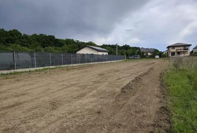 Teren de 1008 mp, în Moara Vlăsiei - 5
