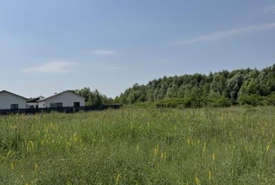 Domnesti, strada Salciei, teren intravilan 500?mp x 2 loturi - 1