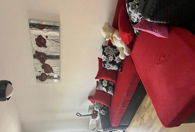 Apartament cu 2 camere semidecomandat în Torontalului - 4
