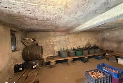 Casă cu 6 camere cu Teren 2681 Mp în Central - 10