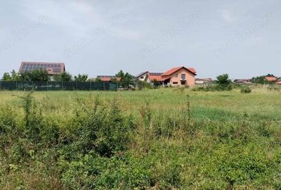Vand 2 terenuri in Mosnita Noua in spate la Mcity - 2