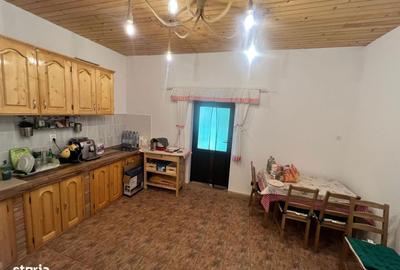 Casă cu 3 camere în Câmpu Cetății - 7