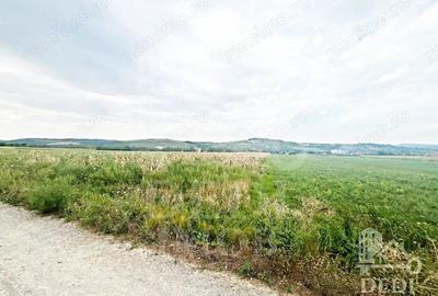 Teren extravilan Lugasu de jos, Bihor - 3