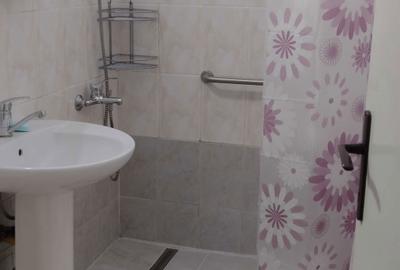 Apartament cu 2 camere nedecomandat în Central - 8