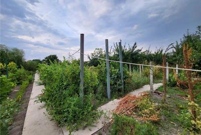 Casă cu 5 camere în Jimbolia - 6