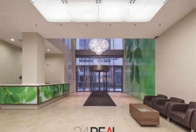 Spațiu comercial, de 1,180 mp, în Barbu Văcărescu - 8