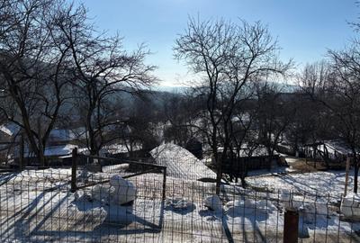 Casa gospodarului, bine întreținută, cu teren generos – Comarnic - 15