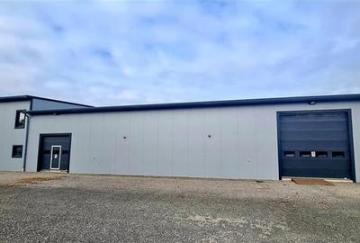 Hala moderna de vanzare,  Mosnita Noua - 2