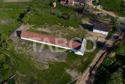 Microferma cu locuinta de vanzare in Pianu de sus - 16