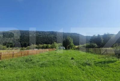 Teren de 1004 mp, în Zărnești - 7