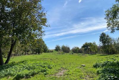 Spațiu comercial, în Lunca - 3