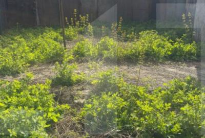 Casă cu 3 camere cu Teren 450 Mp în Central - 2