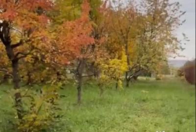 Teren de 500 mp, în Podu Iloaiei - 13