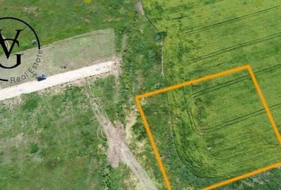 Teren intravilan varianta Ovidiu 2000mp - 4