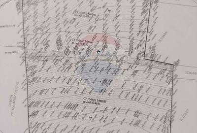 Spațiu comercial, în Central - 3