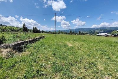 Teren de 19370 mp, în Neagra - 3