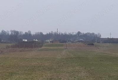 Teren în Stolnici - 5