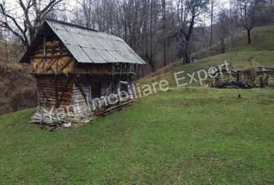 Teren de 2800 mp, în Arefu - 13