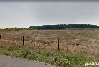Teren de 4350 mp, în Bălteni - 1