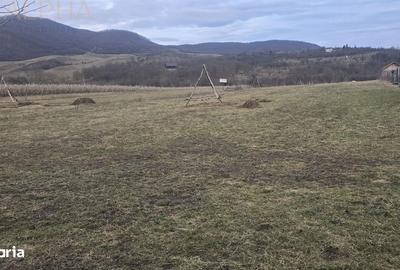 Teren de 3488 mp, în Șieu - 1