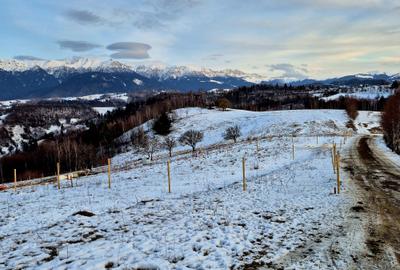 Sat Peștera – Moeciu | Vedere panoramică Bucegi & Piatra Craiului - 1