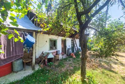 Casa , teren intravilan Urlueni Barla Arges - 34