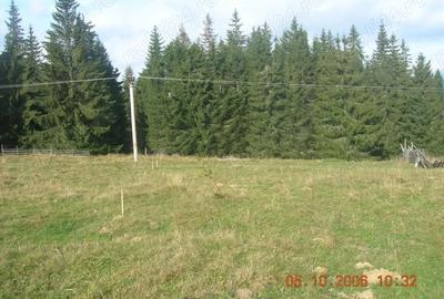 Teren de 5000 mp, în Central - 2