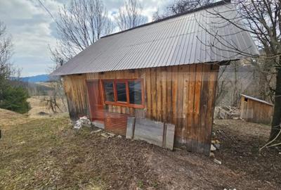 Teren în Scărișoara - 3