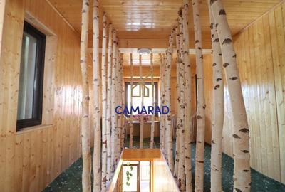 Vila / Pensiune de vanzare- priveliste deosbita  - Valea Doftanei - 17