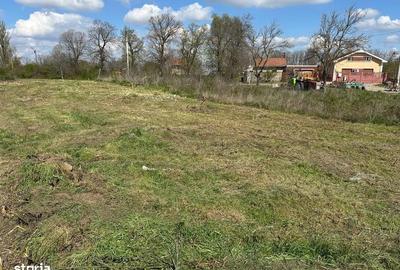 Spațiu comercial, în Șag - 4