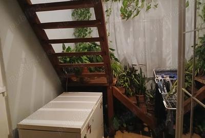 Casă cu Teren 18000 Mp în Vaida-Cămăraș - 3