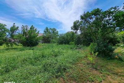 Teren de 2380 mp, în Gurbănești - 4