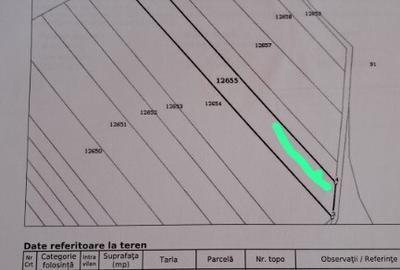 Teren Frumusani 4374 mp - 1