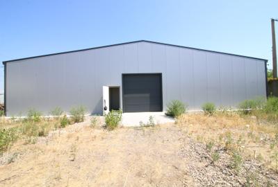 Spatiu Industrial -  depozit frigorific Galati Zona Badalan - 2