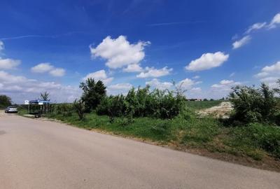 Balotesti 2 loturi de 1400mp, 2 loturi a cate 750mp - 2