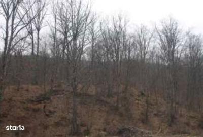 Teren de 7538 mp, în Central - 3