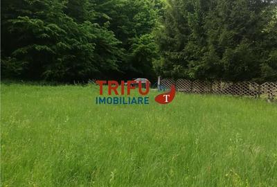 Teren de 5542 mp, în Galda de Jos - 4