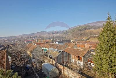 Apartament cu 3 camere decomandat, mobilat în Central - 24