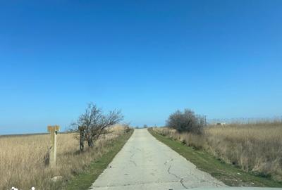 Teren de 1000 mp, în Corbu - 12