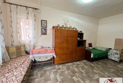 Casa de vanzare in Ighiu- Bucerdea Vinoasa - 6
